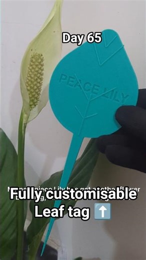 Nature's reminder : Day 65 of The Source Code #diy