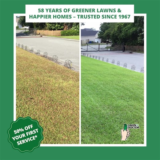 Eliminate embarrassing bald spots in your yard for good with a lawn so lush and green weeds don’t stand a chance. A healthy lawn is easy when you call in your local lawn care experts to treat your yard with professional-grade equipment. See what Lawn Doctor can do for your yard! Get a free quote today. | Lawn Doctor