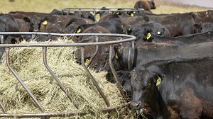 China-Brazil trade deal ’not a bad thing’ for Australia