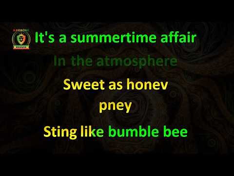 Shaggy - In The Summertime (Karaoke Version)