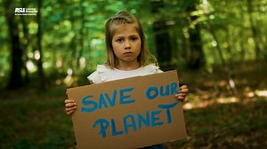 Consumer Preferences for Sustainable Products: Key Findings