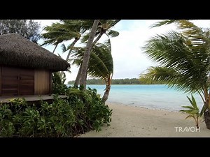 Tropical Island Walk | Ocean Beach Nature | Vacation | Bora Bora, French Polynesia 🇵🇫 | 4K Travel