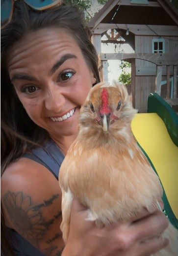 Half of Them? Funny Chicken Moments!