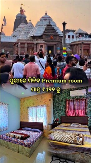 ପୁରୀ ରେ ମିଳିବ Premium Room ମାତ୍ର ₹499 ରୁ #shorts #viral #trending #odiablogger #Jagannath #puri