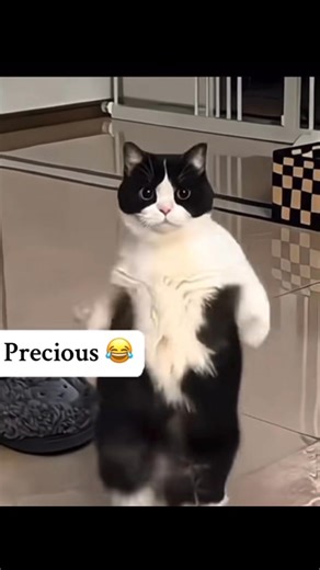 22K views · 74 reactions | #partytime | Xtina Kalu | Facebook