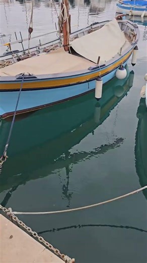 Filmé à Menton… personne ne voit ça 😳 #Menton #requin