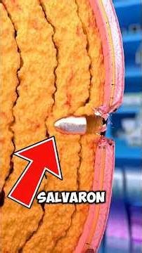 Personas salvadas por objetos aleatorios