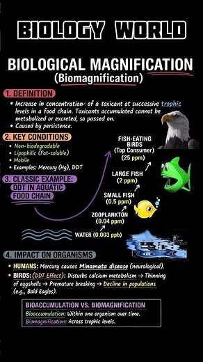Biological Magnification (Biomagnification)