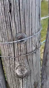 No “of-fence,” but this is one of the sneakiest caches we’ve ever seen 🤭 Are you feeling “wired” today? Video by die_geodine. | Geocaching