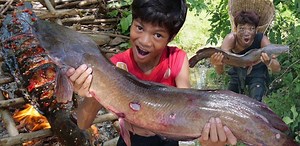 Primitive - Catch big catfish and cooking eating for lunch | Fresh Cook