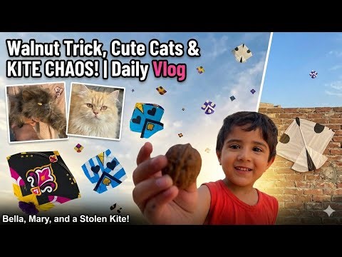 Walnut Trick, Cute Cats & KITE CHAOS! 🪁 | Daily Vlog with Mizla, Salaar & Haram