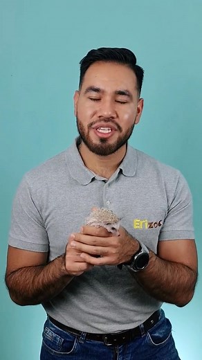 4.4K views · 3.3K reactions | 퐃퐚 퐜퐥퐢퐜 퐩퐚퐫퐚 퐦퐚́퐬 퐢퐧퐟퐨퐫퐦퐚퐜퐢퐨́퐧 璉 Tienda...