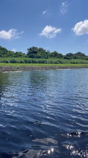 69K views · 2.6K reactions | Cold Case Unsolved Missing Person! #reels #missing #lost #sad | Exploring with the Nug | Facebook