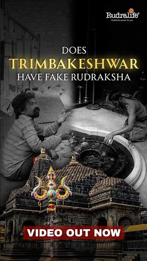 Is TRIMBAKESHWAR selling FAKES ? | Uncovering Rudraksha | EPISODE 1: TRIMBAKESHWAR