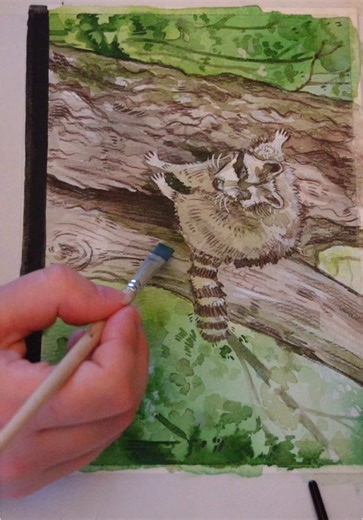 Watercolor Painting Techniques for Raccoon Art