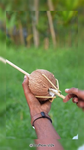 A new style of creating weapons for shooting from coconuts| #creative #doshow #creating #sub
