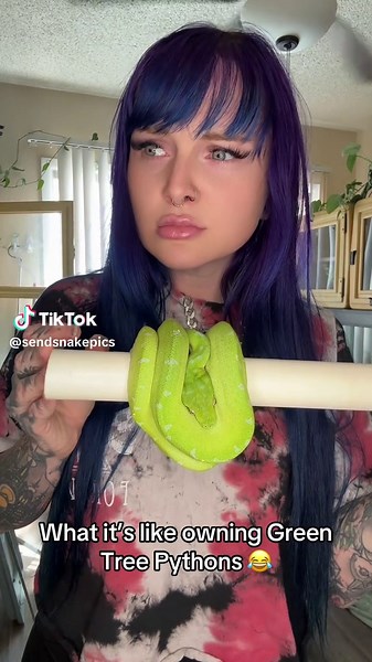 Experiencing Life with Green Tree Pythons 🐍💚