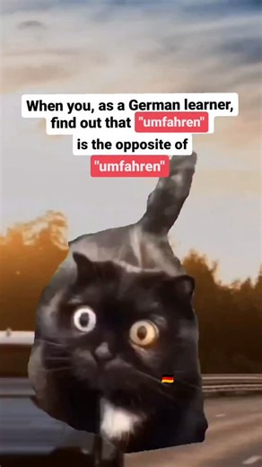 Clara Munteanu on Instagram: "If you know, you know...😂 You can only distinguish them by the word emphasis. ⬇️ UMfahren = to knock something down with a vehicle In a sentence this one is separable. Example: Ich *fahre* das Schild *um*. (I knock the sign down with the car.) ....⬇️🥲 umFAhren = to drive around something with a vehicle (so to not knock down something) This one is not separable. Example: Ich *umfahre* das Schild. (I drive around the sign.)"