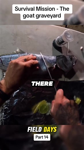Survival Mission without food - The goat graveyard P14 #camping #survival #catchandcook #outdoors #fielddays #fishing #fyp