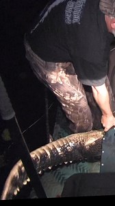 3.2K views · 17 reactions | Alligator fights back | Huntchannel.tv | Facebook