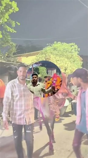 🌪️मुंबई बिनजोडचा बादशाह किंग वजीर🌪️#मथुर1001#बकासुर#मेहबूब#बाजी#सर्जा#बैलगाडा_जीव_की_प्राण#भुंगा