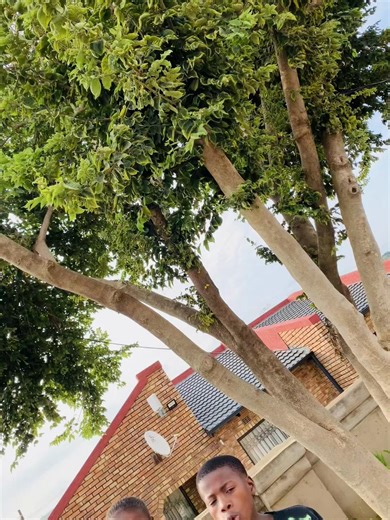 Discover Unique Words with Daily Vocabulary Tips