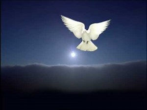 Pebblehut Productions/Paxson Entertainment/CTV (1999) #1