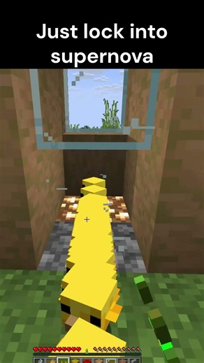 Lock into singularity #minecraft #roblox #foryoupage