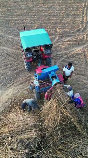 Massy on Field | Massey Ferguson is a leading global brand of agricultural machinery