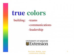 true colors - SlideServe