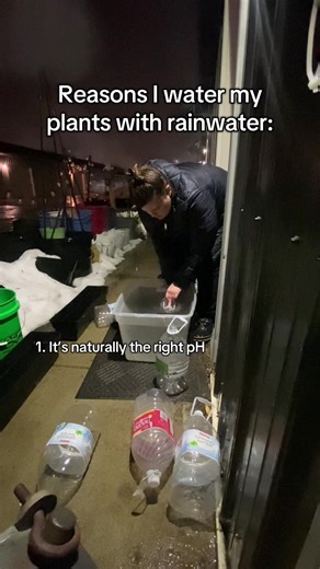 Reasons I am NOT missing the chance to harvest some rainwater for my houseplants! Even if it’s 37 degrees out 🥶: 1. It’s naturally the right pH: Rainwater is slightly acidic, which is exactly what most vegetables, herbs, and flowers prefer. Tap water is often alkaline and can slowly lock nutrients out of your soil over time. 2. No chemicals that harm soil life: Tap water contains chlorine and chloramine meant to kill bacteria — but those chemicals also harm the beneficial microbes that keep you