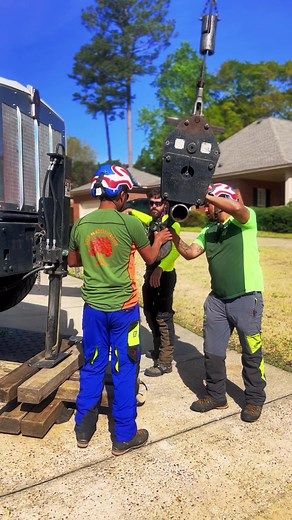 Expert Crane Operator Using 65 Ton Equipment for Tree Care