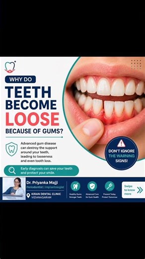 Why do teeth become loose because of gums?