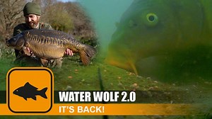🎬 WATER WOLF 2.0 / 1080p 🎥- #GoDeep #Record #Discover 💦 The wait is over! The long anticipated Water Wolf 2.0 underwater camera is hitting the stores soon! 💥 👉 Get one and learn how carp react to your rig, how they approach your spot, see if they prefer one bait over another, and much more! 🧐 #prologic #waterwolf #underwater #underwatercarp #carpfishing #comingsoon #thewaitisover | Prologic