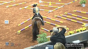 372K views · 3.3K reactions | RR All In and Erin Nicole Mask brought home the golden globe in the trail finals at this year's Built Ford Tough AQHYA World Championship Show. Take a look and a listen as AQHA Judge Terry Cross gives his perspective on the winning run. | American Quarter Horse Association | Facebook