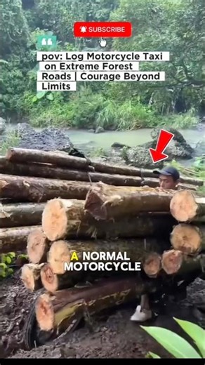Log Motorcycle Taxi on Extreme Forest Roads | Courage Beyond Limits #shorts #excavator #shorts