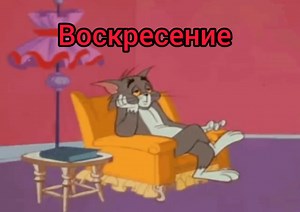 Relaxing Animated Cat Character Video