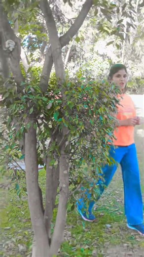 #bollywood #song #hindisong #bollywoodsongs #love #timepassmeenageet #meenadeshraj #dance #funny