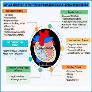 95 reactions · 119 shares | Atrial Fibrillation in the Young: Early-onset atrial fibrillation in young adults arises from a complex interplay of genetic factors, medical comorbidities, structural heart disease, lifestyle influences, autonomic nervous system triggers, and non-pulmonary vein sources. 變 #AtrialFibrillation #YoungAF #Cardiology #Arrhythmia #HeartHealth #MedicalEducation | Abdallah Othman | Facebook