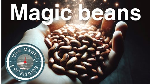 Float fishing tips: How to catch summer tench with beans