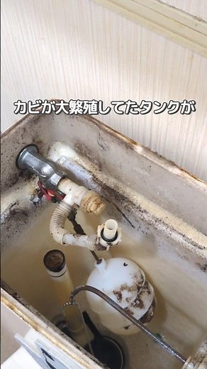 ⚠️やり忘れ注意⚠️実はカビやすい😱トイレのタンク掃除#簡単掃除#ズボラ掃除#時短掃除#掃除グッズ#トイレタンク掃除