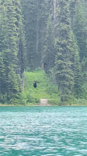 Best Destinations To Travel on Instagram: "Banff National Park in Canada"