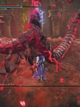 What a master of spellblade looks like #eldenring #darksouls #gaming