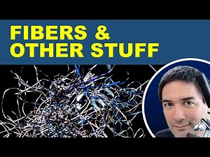 🔬 Natural and Synthetic Fibers under the Microscope