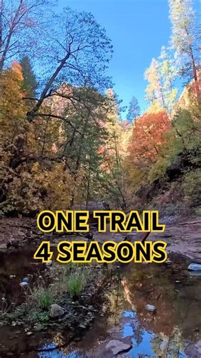 Same Trail. Different Season. ❄️🌸🍂