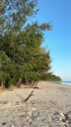 Discover the Beauty of Semirara Island Antique at Alegria Beach Resort