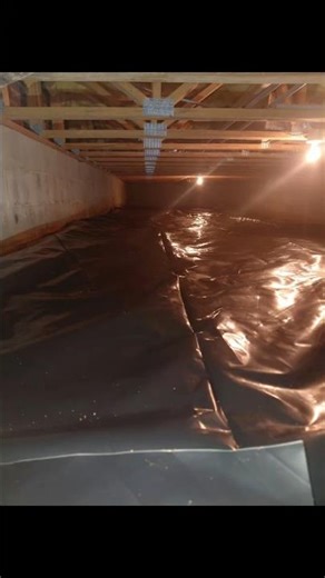 $50 Termite Inspection That Saved Thousands #share #termites #hometips