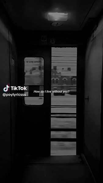 #howdoilive #lyrics #foryoupage #song #aesthetic