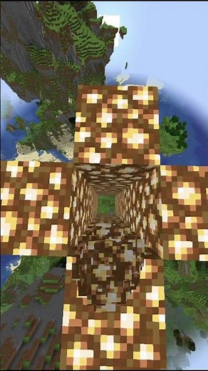 modi Seeds Ever#modi #putin #trump