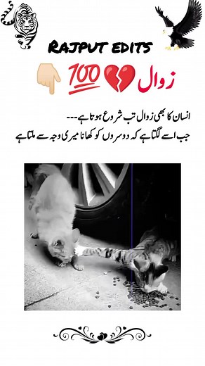 #foryoupage #foryou #fyp #CapCut #trending #fypシ゚viral #viral #trandingvideo #100k #500k #